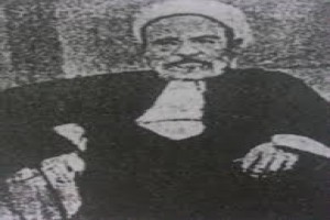 صورة المؤلف محمد الخضرى بك